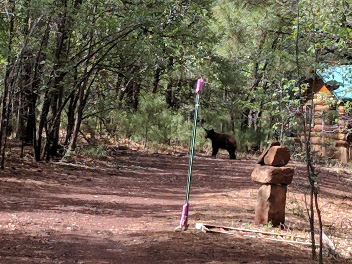 פיינטופ-לייקסייד Cozy Cub Log Cabin - Year Round Tranquil Beauty מראה חיצוני תמונה
