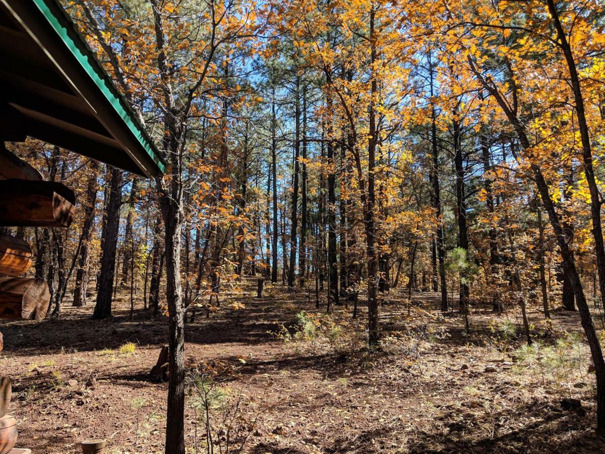 פיינטופ-לייקסייד Cozy Cub Log Cabin - Year Round Tranquil Beauty מראה חיצוני תמונה